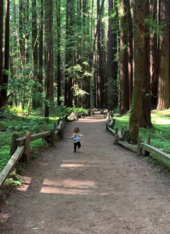 toddler running in armstrong woods
