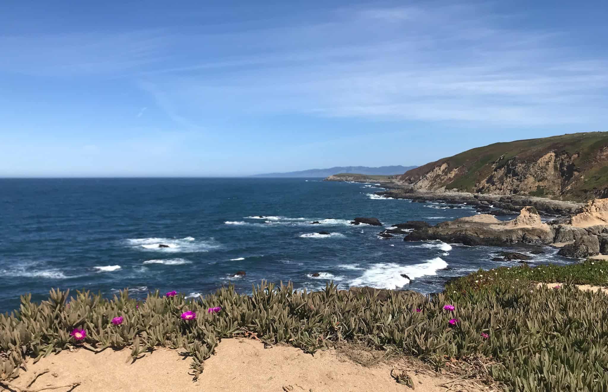 View from Bodega Head, sand and ice plants in the foreground with rocks, blue ocean water and sky in the background.