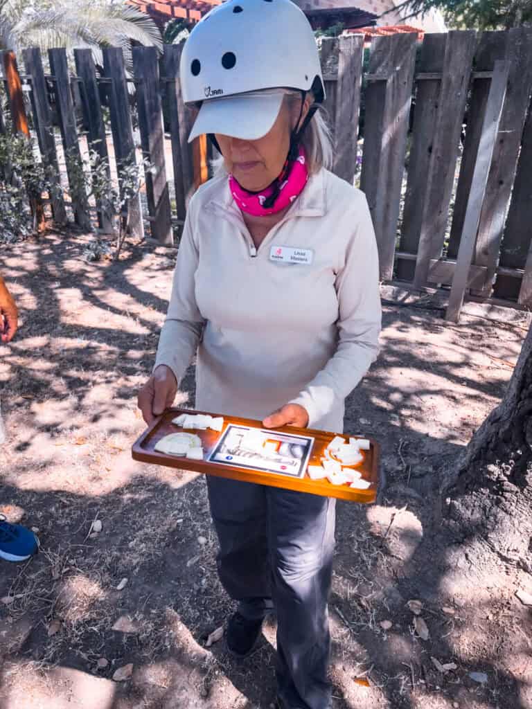 woman wearing a bike helmet, holding a cheese sampling tray 